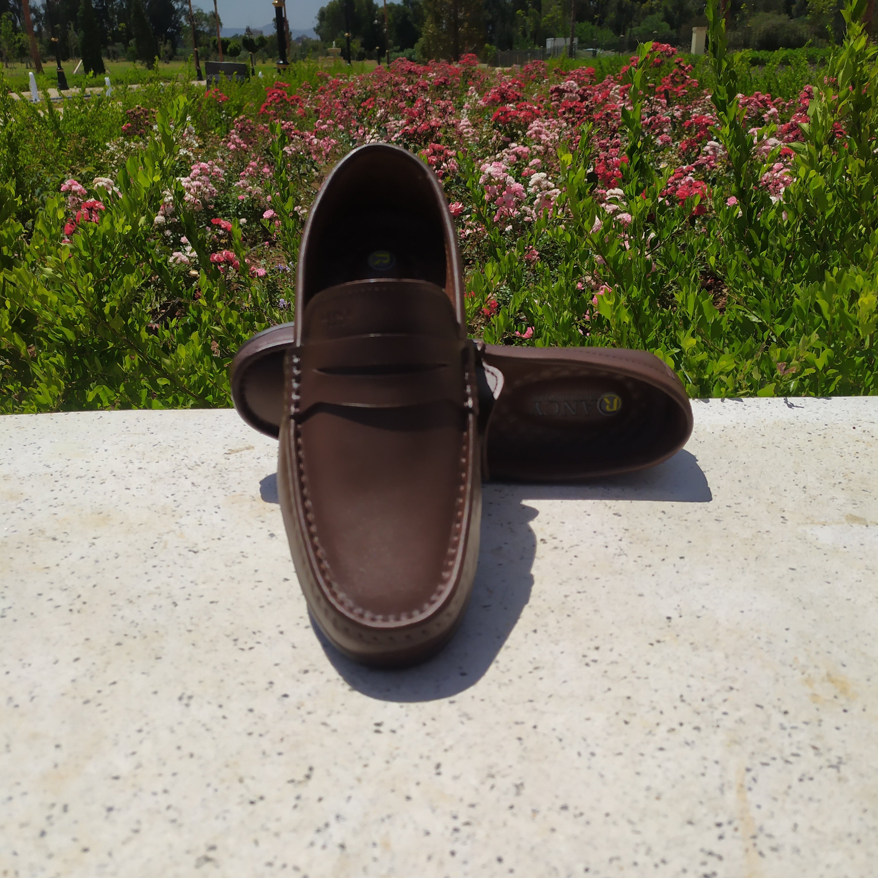 L'OCÉAN المحيط