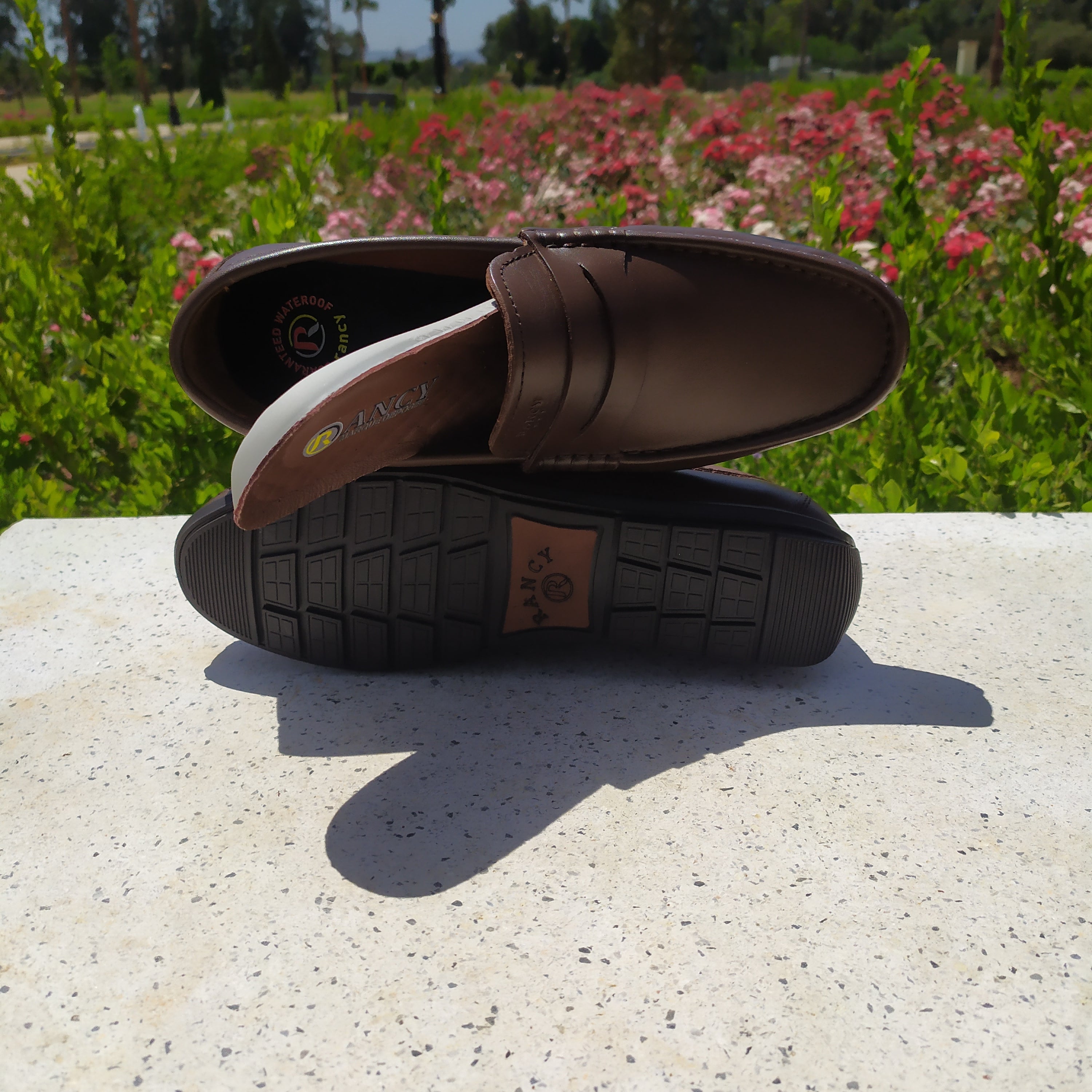 L'OCÉAN المحيط