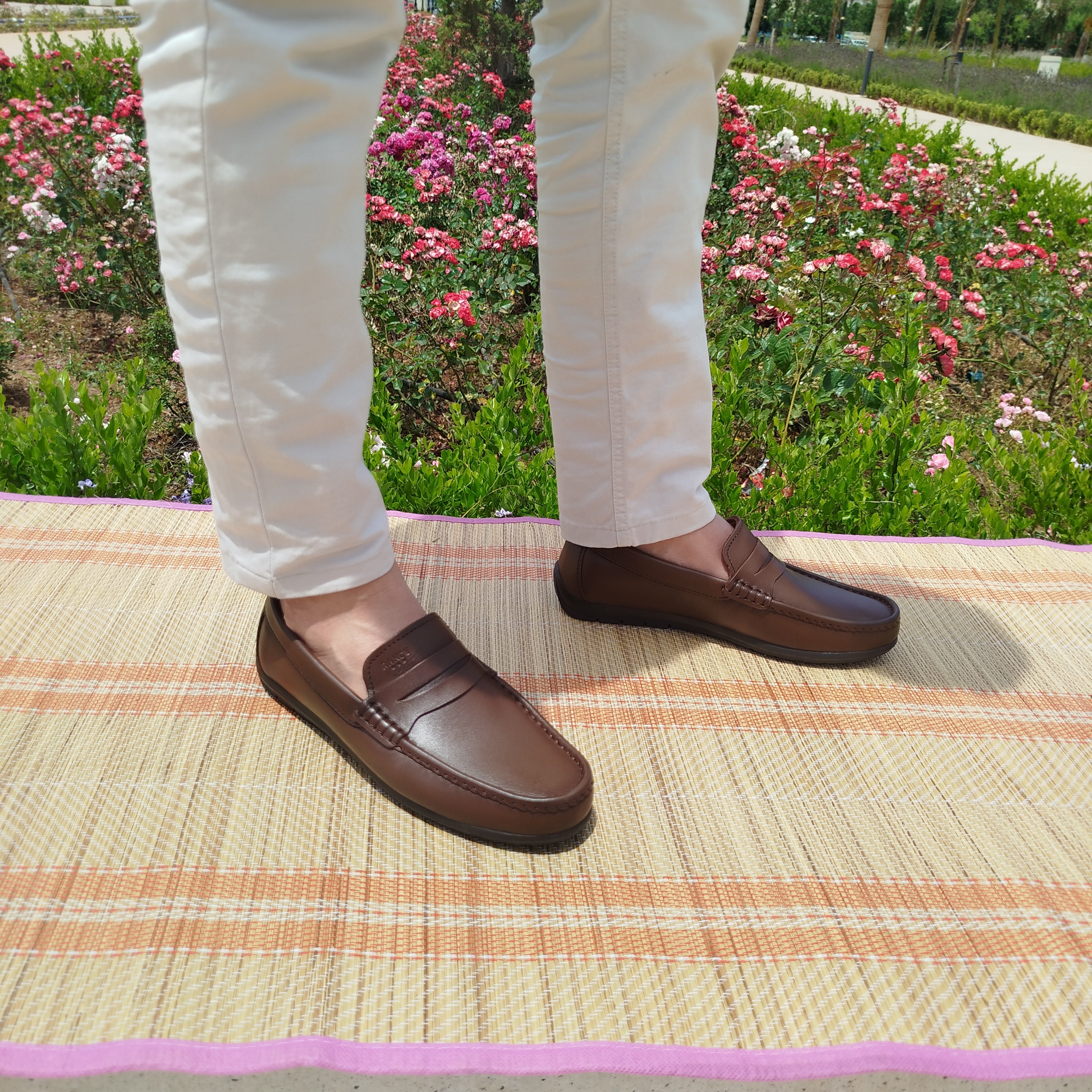 L'OCÉAN المحيط